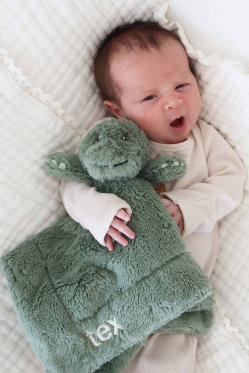 Cuddle Plush Friends // Lovey