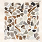 National Parks of N.America AMAZING ANIMALS Sticker Painting