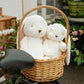 Two white plush bunnies in a wicker basket on a bicycle seat with a garden background.