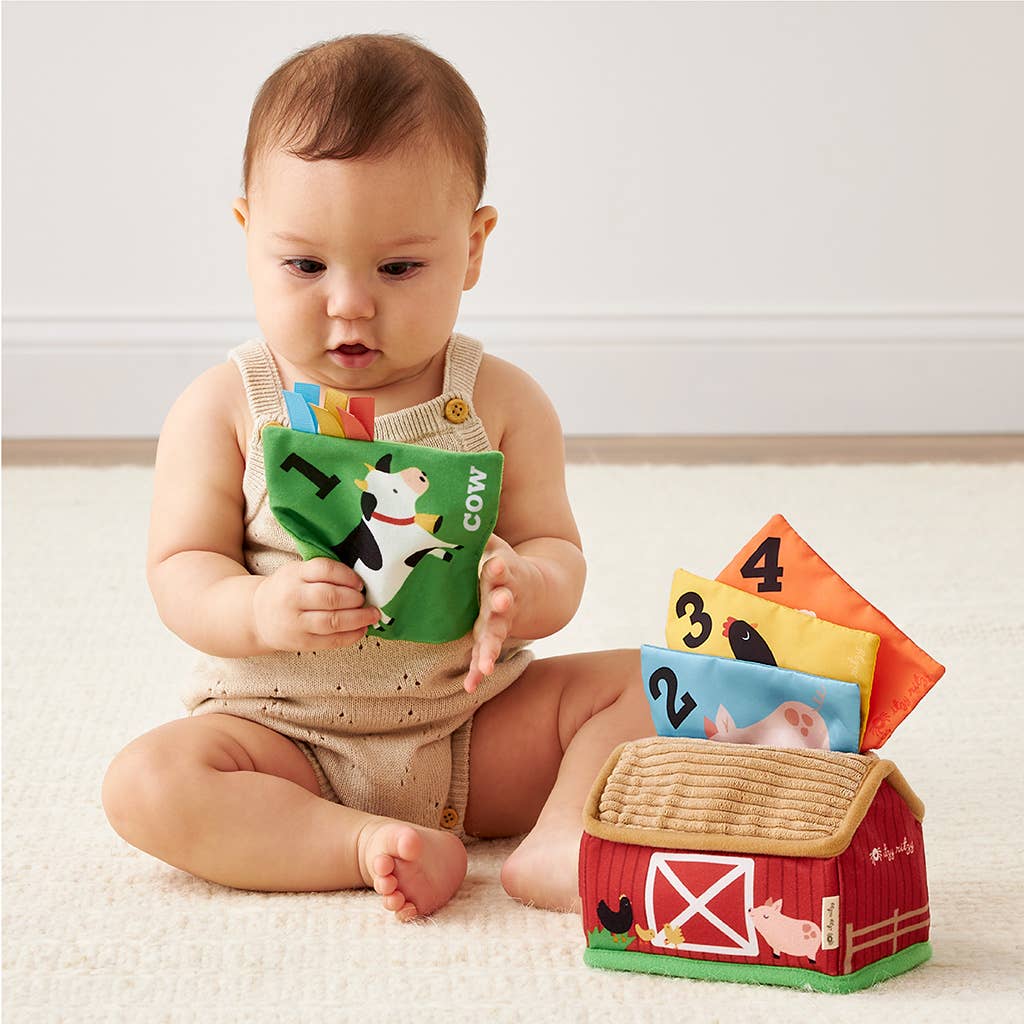 Barn with Scarves Teether Baby Toy