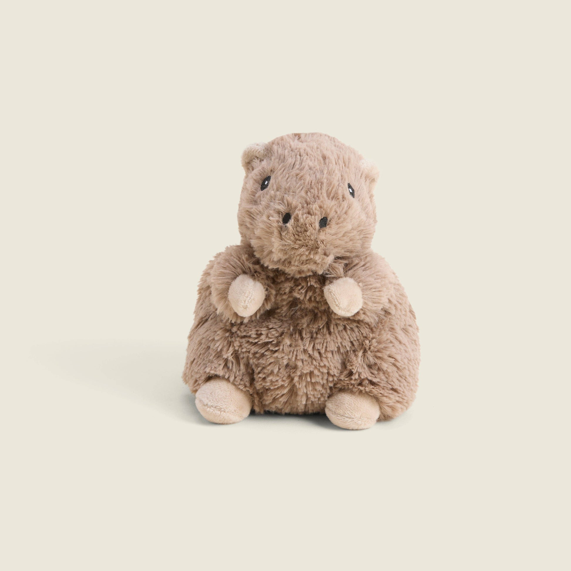 Brown Capybara Junior made to warm up