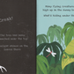 Shine-A-Light: Secrets of the Rain Forest
