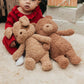 Brownie The Bear