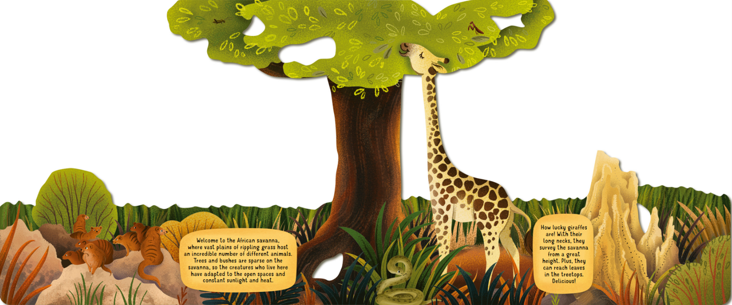 Exploring the Surprising World of the Savanna - Board Book
