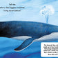 Tell Me About Oceans by Lisa Varchol Perron