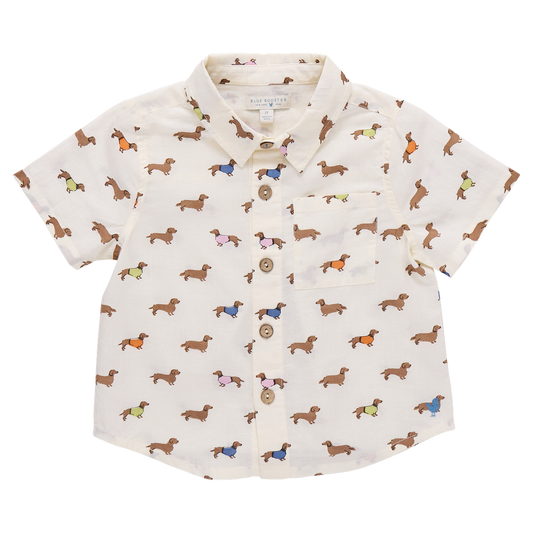 Dachshunds in Sweaters Button Down Shirt