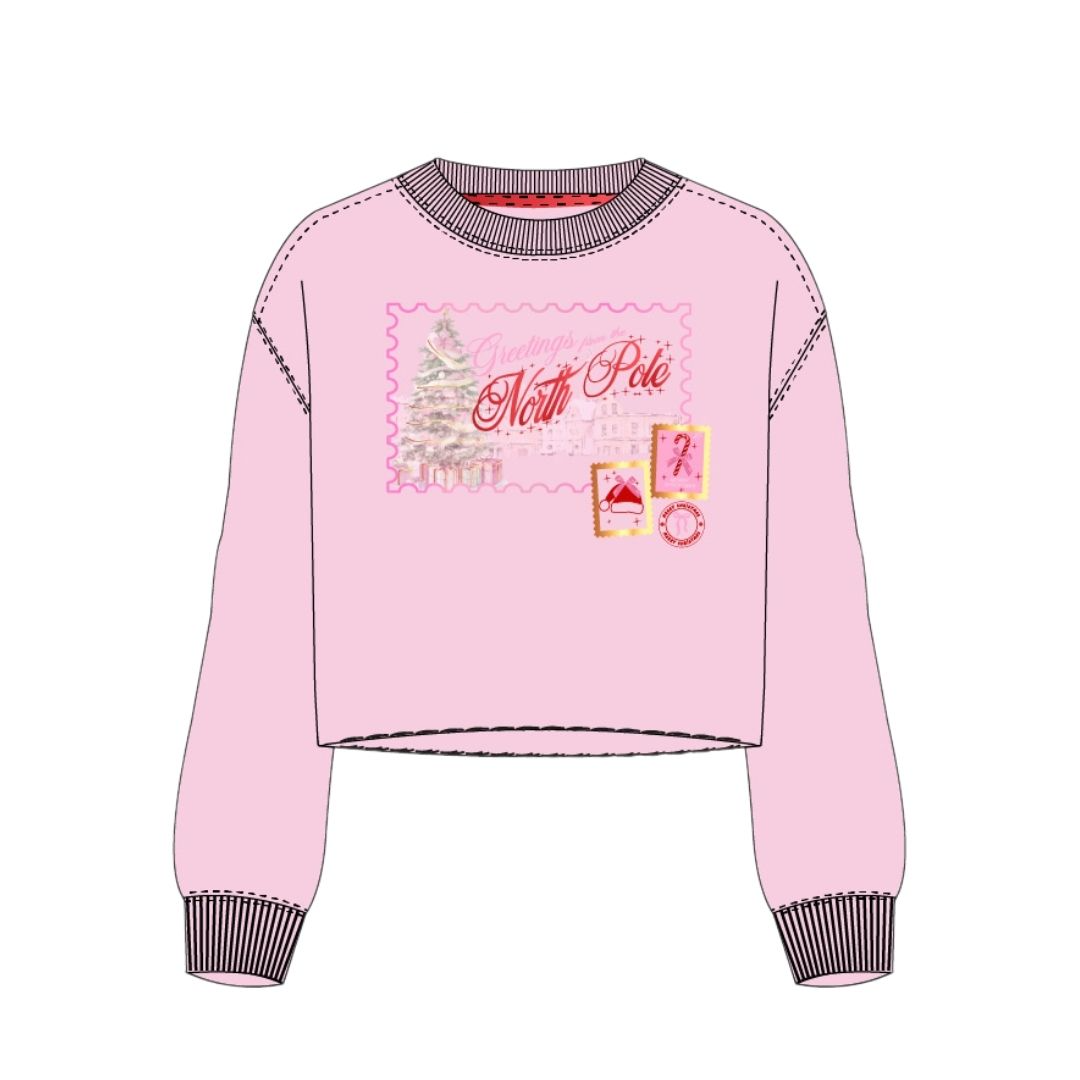 A pink cropped long-sleeve sweater with a 'North Pole' Christmas tree graphic on the chest, ribbed crew neck, cuffs, and hem, shown on a plain white background.
