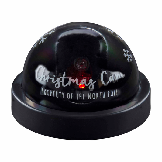 Christmas Camera