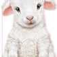 A board book cover featuring an illustration of a furry lamb with a portion of the book cut out for tactile sensory play.