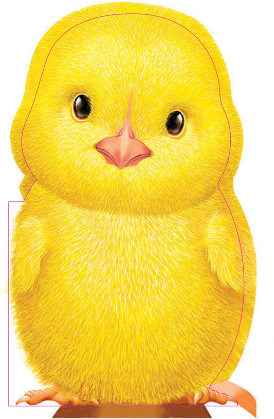 Yellow Baby Chick Board  Book