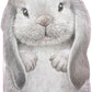 Gray Bunny Hard Back Book