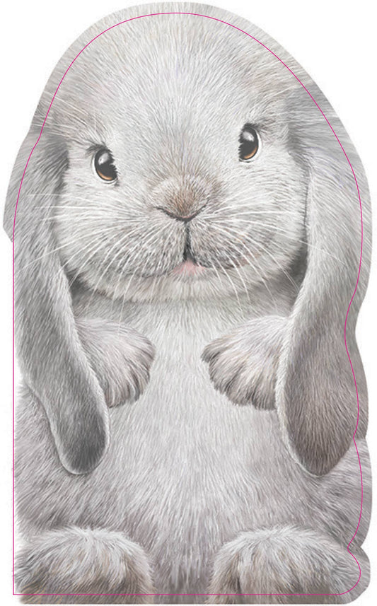 Gray Bunny Hard Back Book